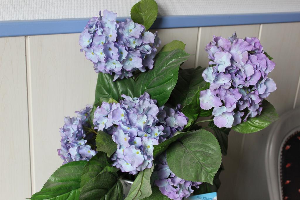 La Demeure Aux Hortensias Pleurtuit Luaran gambar